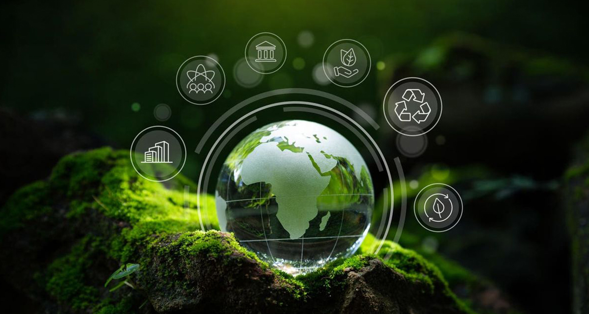 Sieno Fagyasztva szárítási technológiai kutatóintézet (Jiangsu) Co., Ltd