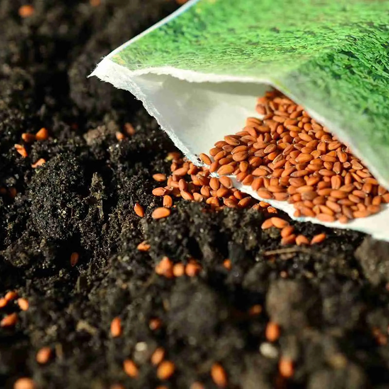 Mélyfagyasztó vetőmagok és gombák számára